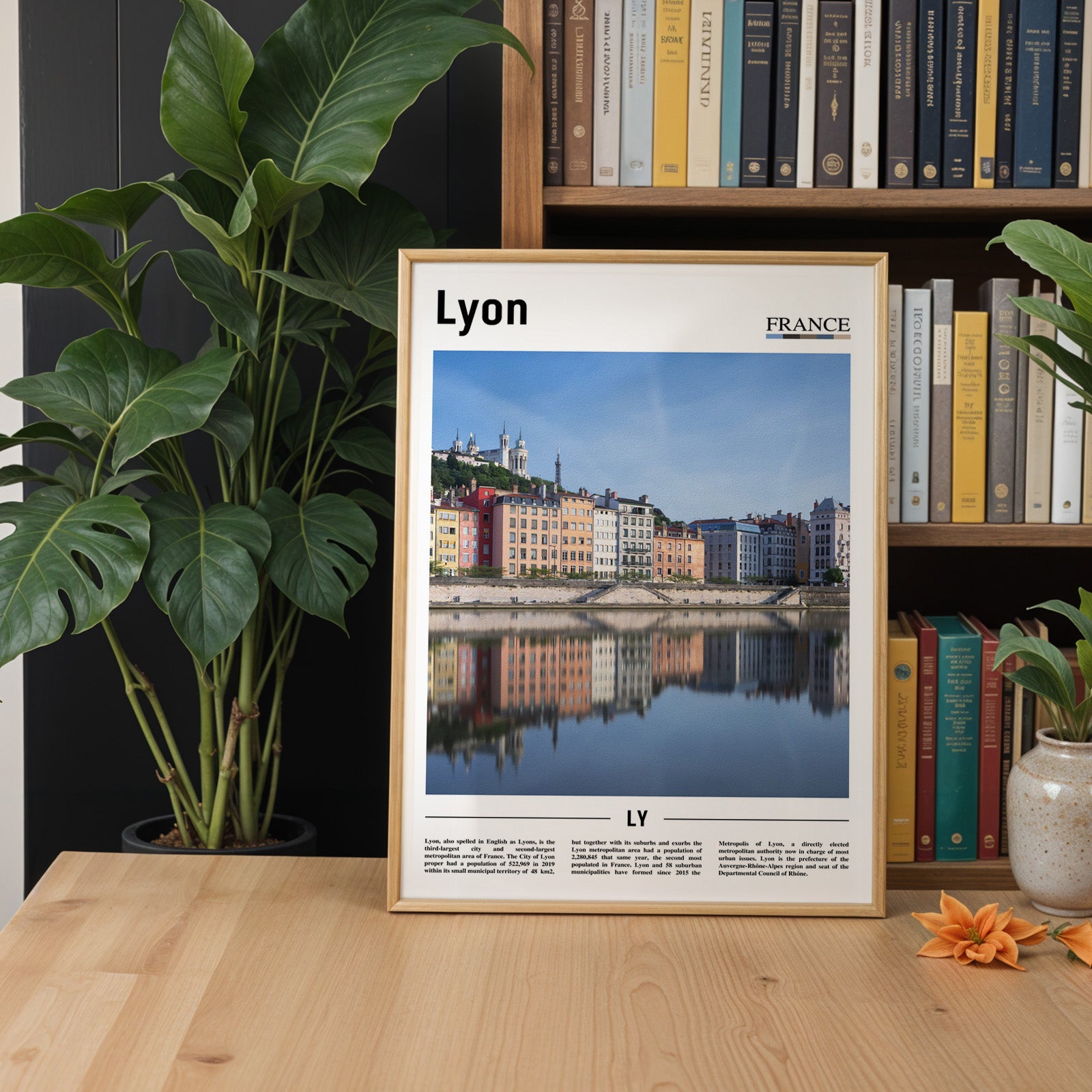 Lyon France Photographic Poster