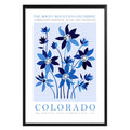 Colorado State Flower Poster - GroovyGrove