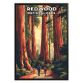 Redwood National Park Poster - GroovyGrove