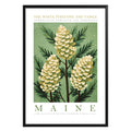 Maine State Flower Poster - GroovyGrove