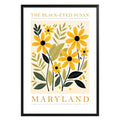 Maryland State Flower Poster - GroovyGrove