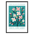 Delaware State Flower Poster - GroovyGrove