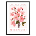 Missouri State Flower Poster - GroovyGrove