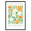 Florida State Flower Poster - GroovyGrove