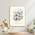 Aquarius Zodiac Sign Poster - GroovyGrove