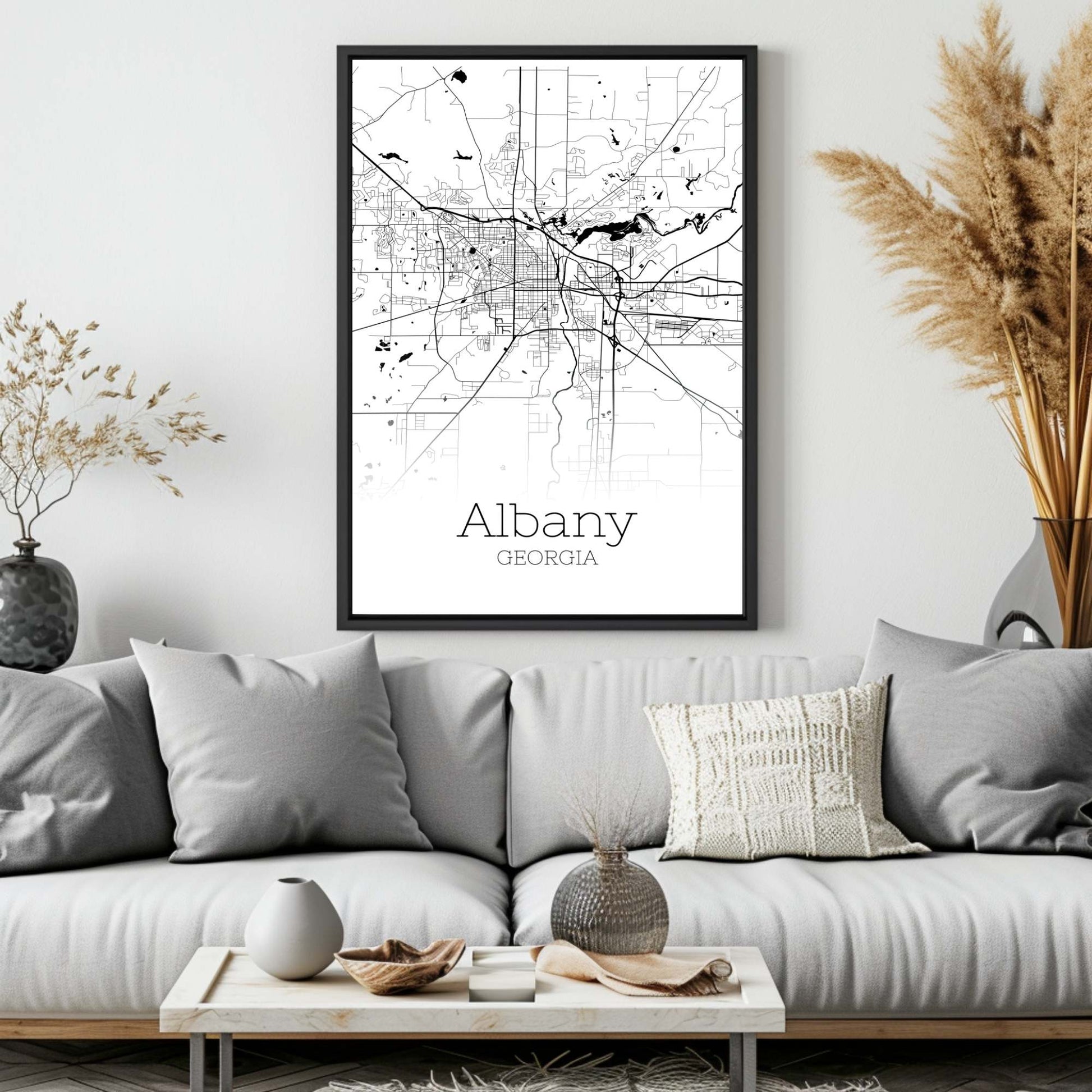 Albany Georgia City Map Poster - GroovyGrove