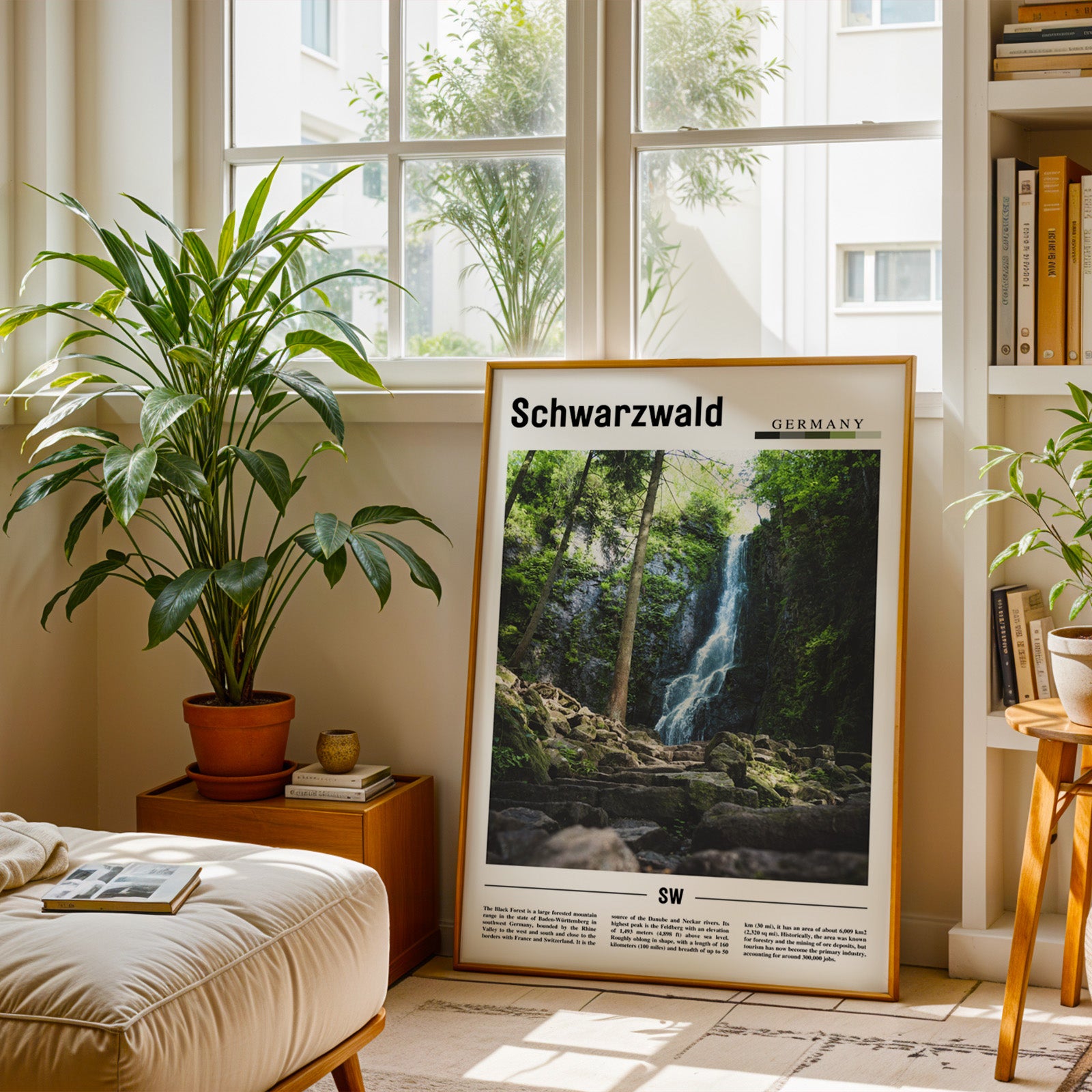 Schwarzwald Germany Photographic Poster