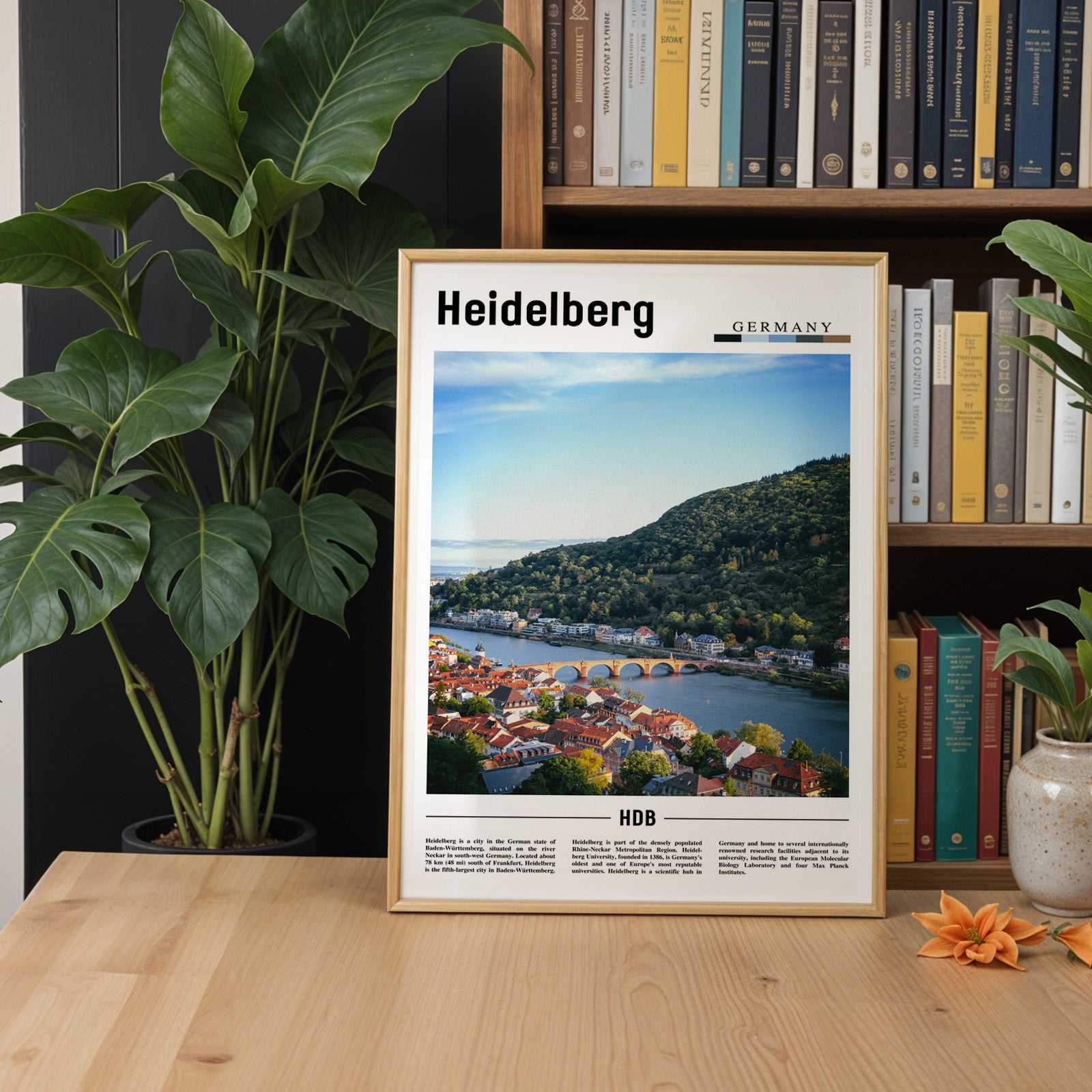 Heidelberg Germany Photographic Poster