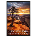 Canyonlands National Park Poster - GroovyGrove