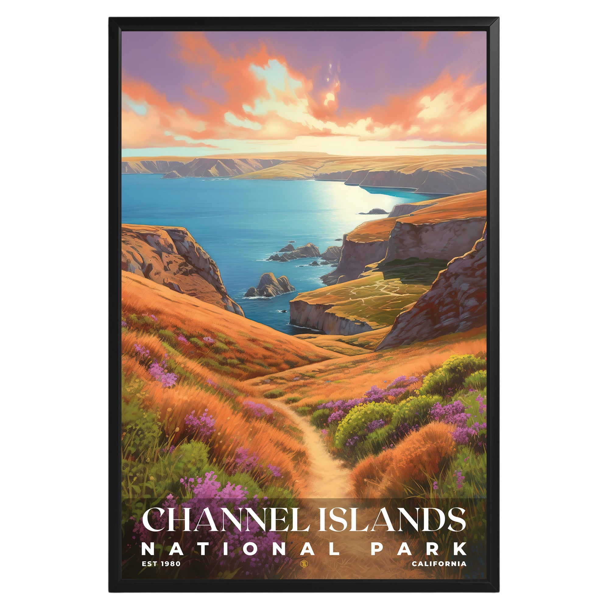 Channel Islands National Park Poster - GroovyGrove