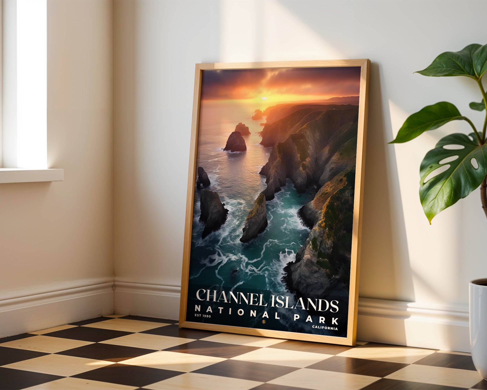 Channel Islands National Park Poster - GroovyGrove