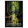 Congaree National Park Poster - GroovyGrove