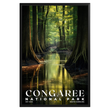 Congaree National Park Poster - GroovyGrove