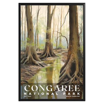 Congaree National Park Poster - GroovyGrove