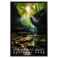 Cuyahoga Valley National Park Poster - GroovyGrove