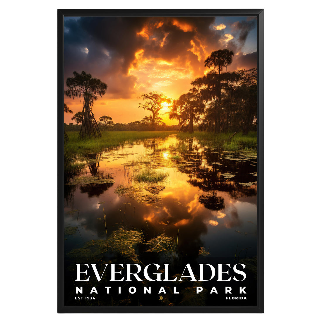 Everglades National Park Poster - GroovyGrove