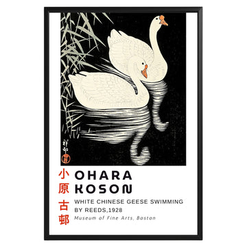 White Chinese Geese Ohara Koson Poster - GroovyGrove