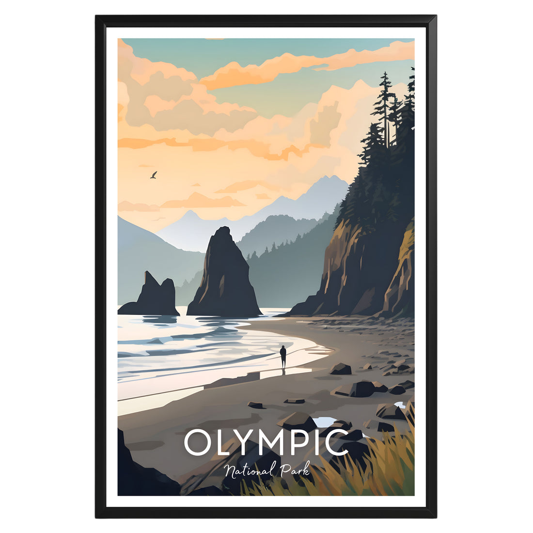 Olympic National Park Poster - GroovyGrove