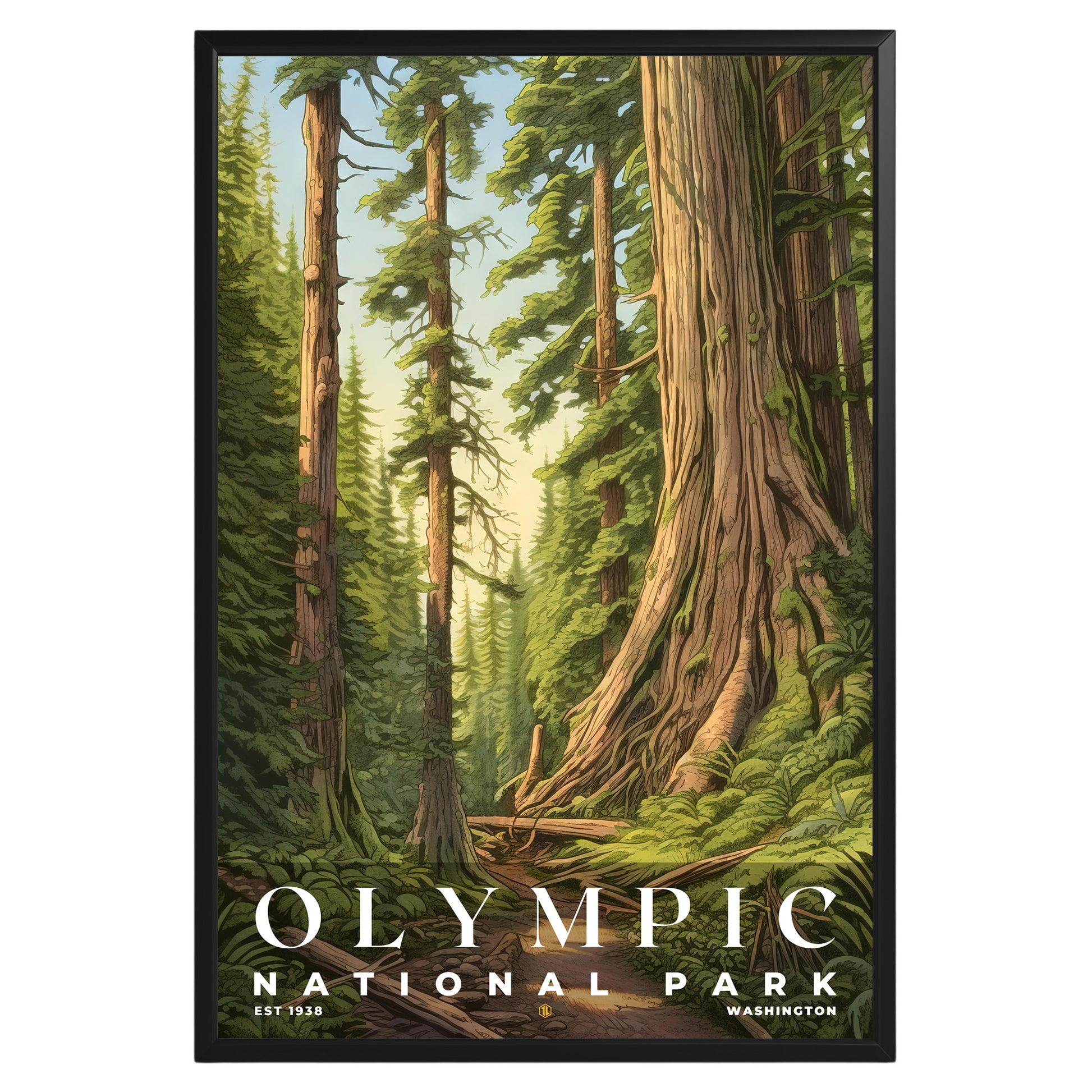 Olympic National Park Poster - GroovyGrove