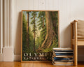 Olympic National Park Poster - GroovyGrove