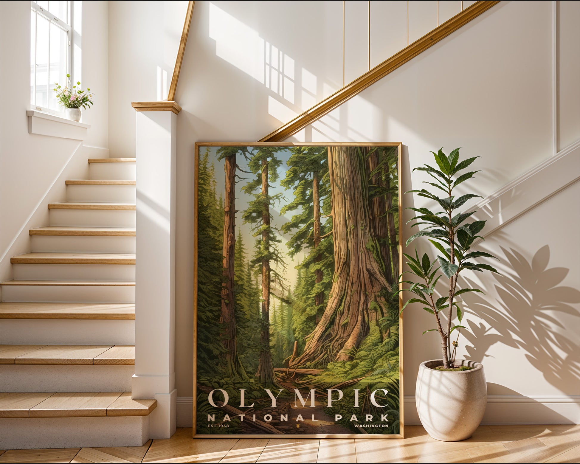 Olympic National Park Poster - GroovyGrove