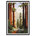 Redwood National Park Poster - GroovyGrove