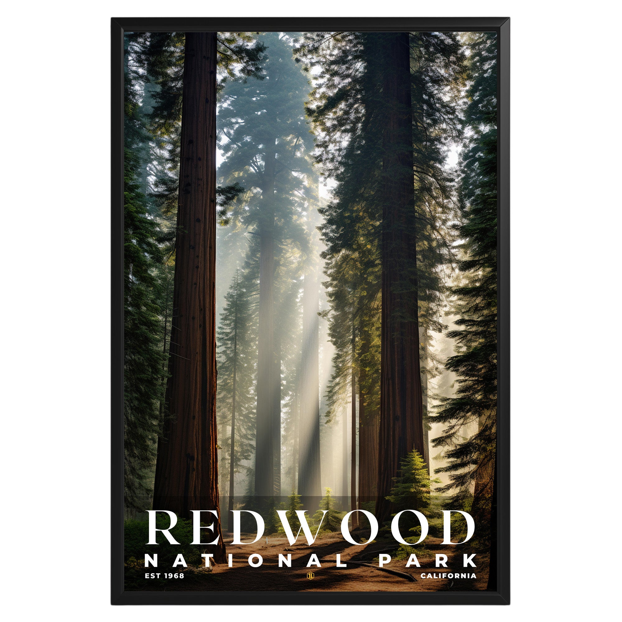 Redwood National Park Poster - GroovyGrove