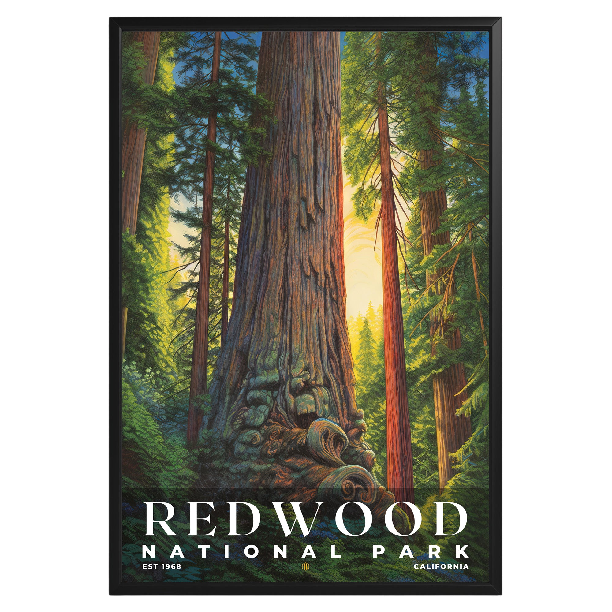 Redwood National Park Poster - GroovyGrove