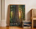 Redwood National Park Poster - GroovyGrove