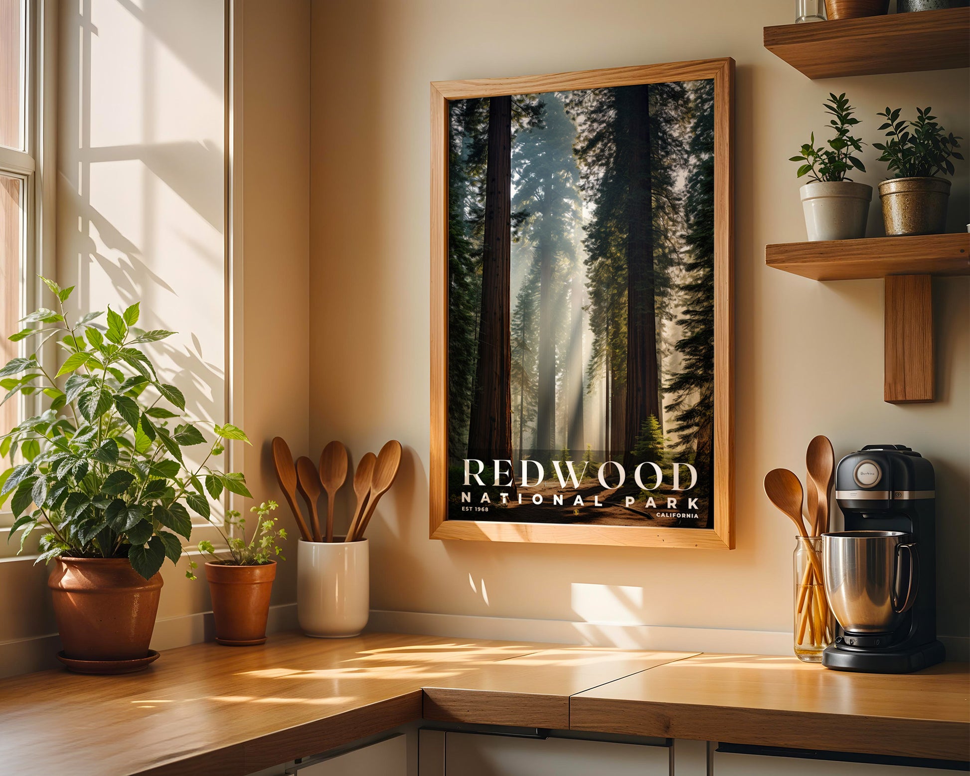 Redwood National Park Poster - GroovyGrove