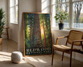 Redwood National Park Poster - GroovyGrove