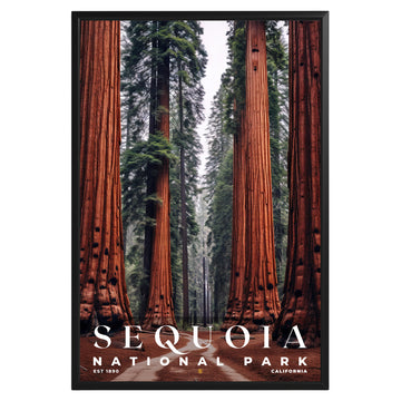 Sequoia National Park Poster - GroovyGrove