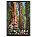 Sequoia National Park Poster - GroovyGrove