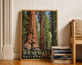 Sequoia National Park Poster - GroovyGrove