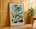 Vintage Caterpillar Botanical Poster - GroovyGrove