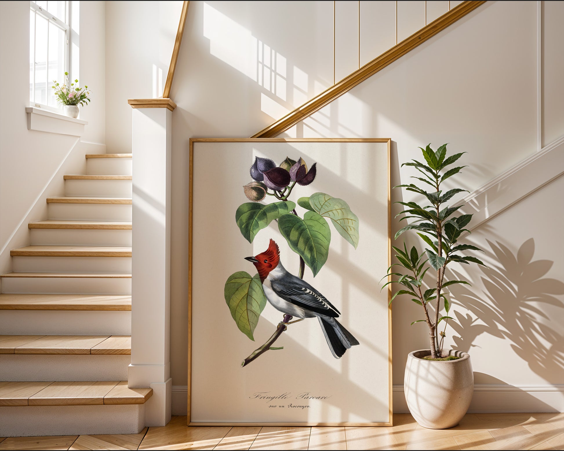 Vintage Fringilla Bird Botanical Poster - GroovyGrove