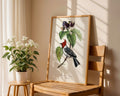 Vintage Fringilla Bird Botanical Poster - GroovyGrove