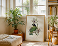 Vintage Parakeet Botanical Poster - GroovyGrove