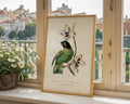 Vintage Parakeet Botanical Poster - GroovyGrove