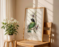 Vintage Parakeet Botanical Poster - GroovyGrove