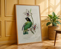 Vintage Parakeet Botanical Poster - GroovyGrove