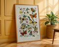 Vintage Butterfly & Moth Poster - GroovyGrove