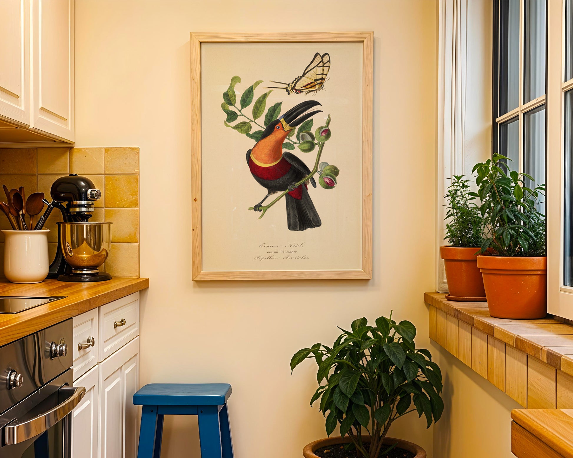 Vintage Toucan Botanical Poster - GroovyGrove