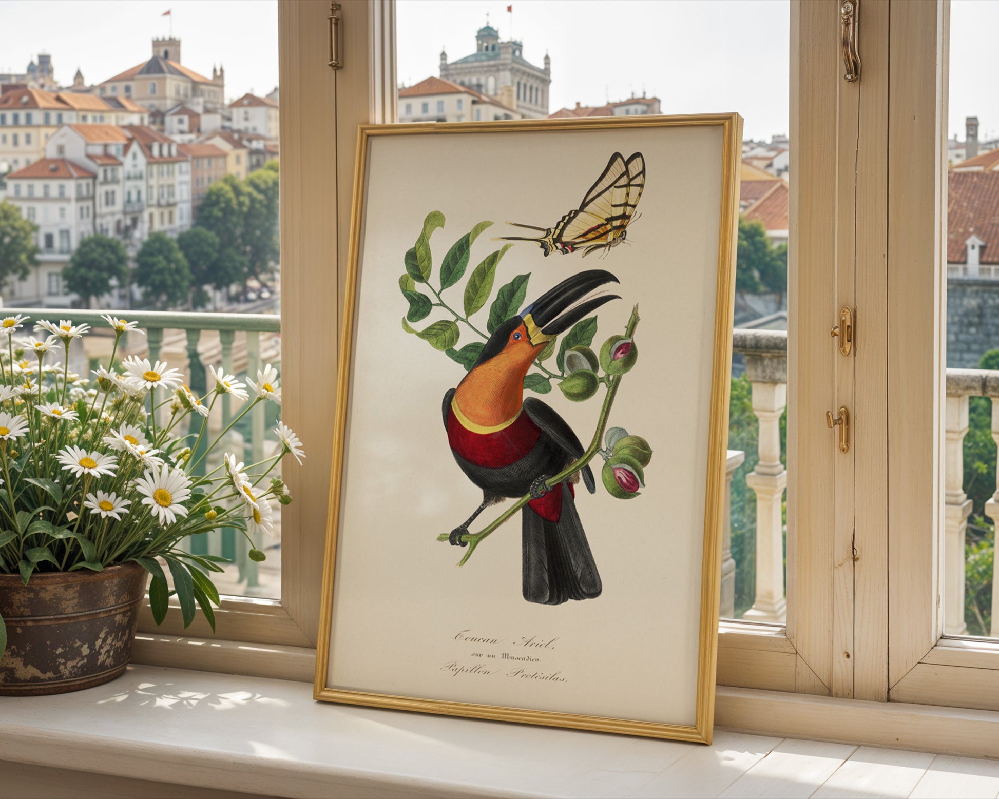 Vintage Toucan Botanical Poster - GroovyGrove