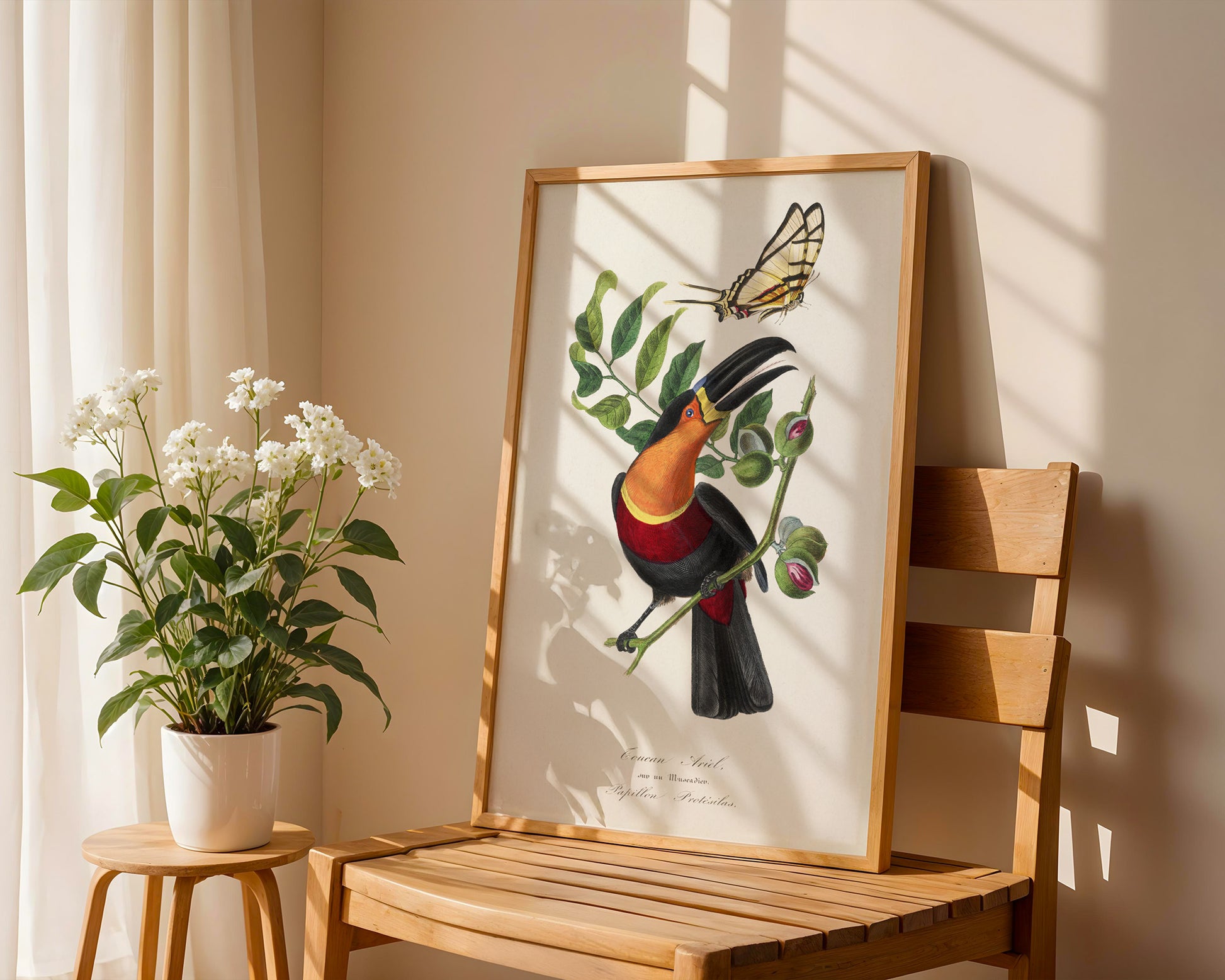 Vintage Toucan Botanical Poster - GroovyGrove