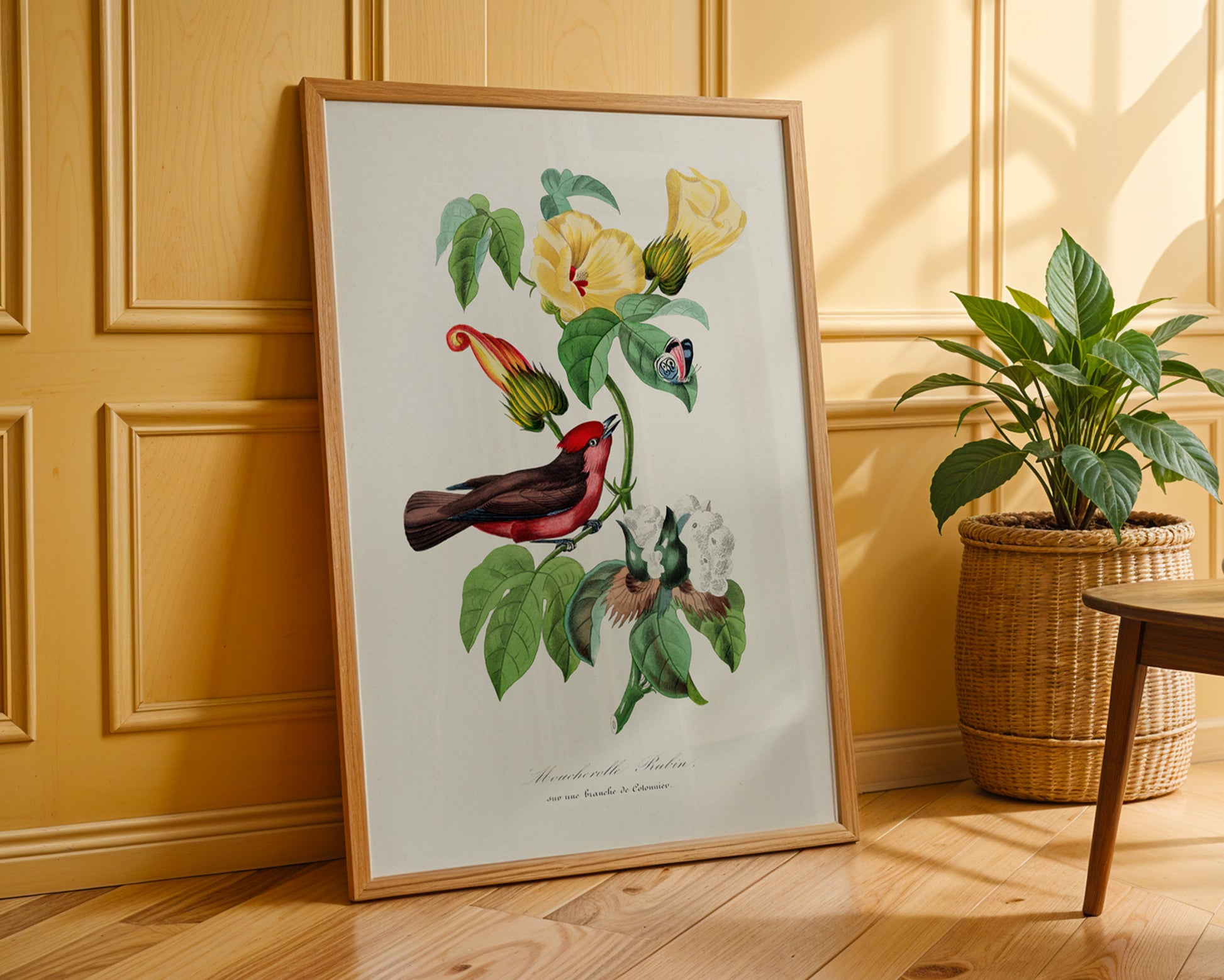 Vintage Vermilion Flycatcher Botanical Poster - GroovyGrove